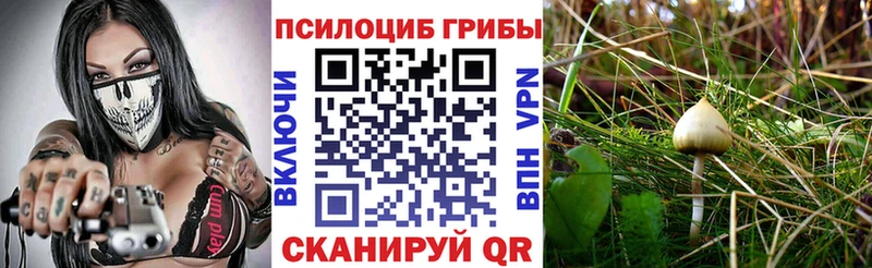 hydra ONION  Верхнеуральск  Псилоцибиновые грибы Cubensis 